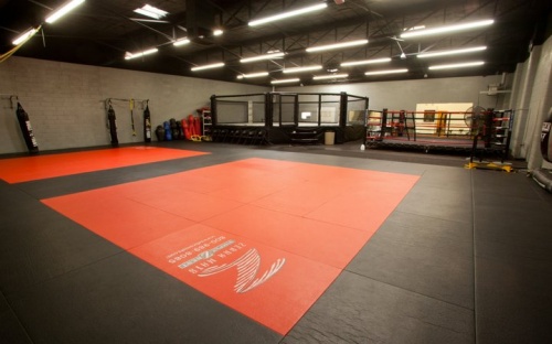 How to Start a MMA Gym