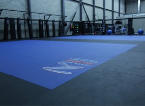 Pro Series Mma Mats